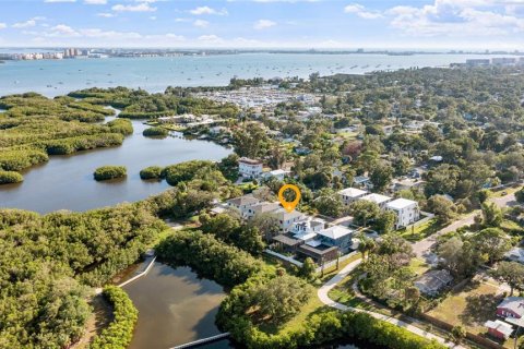 Villa ou maison à vendre à Gulfport, Floride: 4 chambres, 276.85 m2 № 2324814 - photo 2