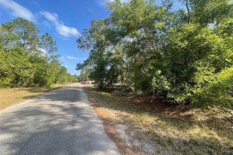 Land in Ocklawaha, Florida № 2162199 - photo 2