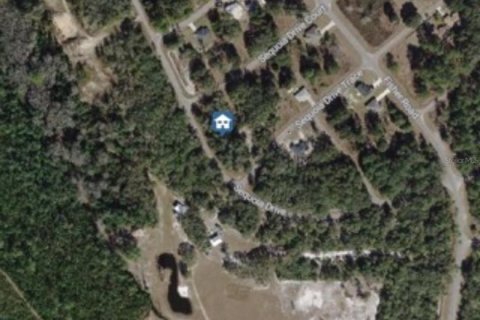 Land in Ocklawaha, Florida № 2162199 - photo 4