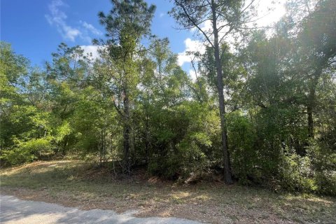 Terreno en Ocklawaha, Florida № 2162199