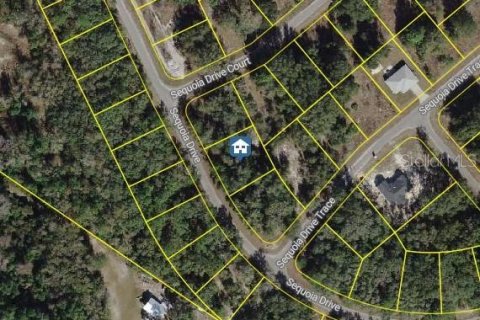 Land in Ocklawaha, Florida № 2162199 - photo 5