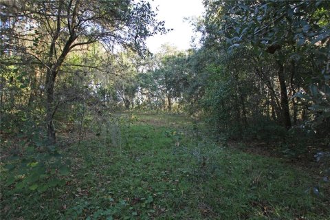 Terreno en venta en Bartow, Florida № 1418948 - foto 14