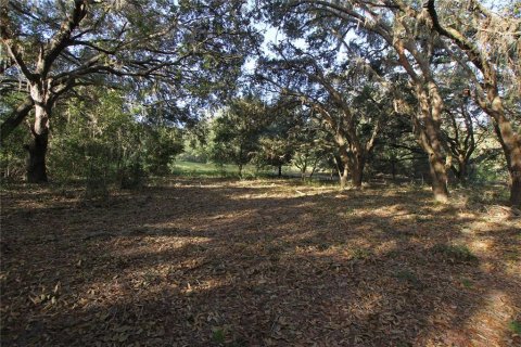 Terreno en venta en Bartow, Florida № 1418948 - foto 2