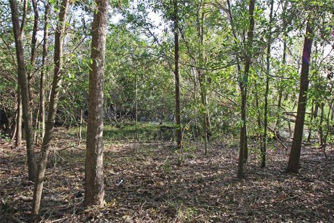 Terreno en venta en Bartow, Florida № 1418948 - foto 19