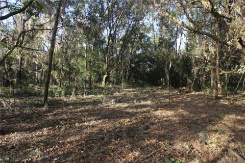 Terreno en venta en Bartow, Florida № 1418948 - foto 24
