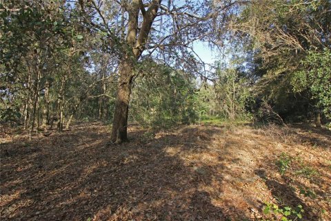 Terreno en venta en Bartow, Florida № 1418948 - foto 29