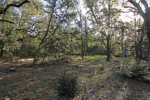 Terreno en venta en Bartow, Florida № 1418948 - foto 4