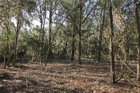 Terreno en venta en Bartow, Florida № 1418948 - foto 21