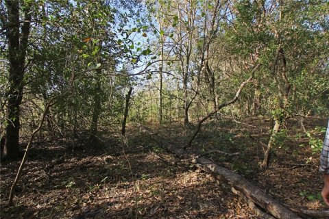 Terreno en venta en Bartow, Florida № 1418948 - foto 28