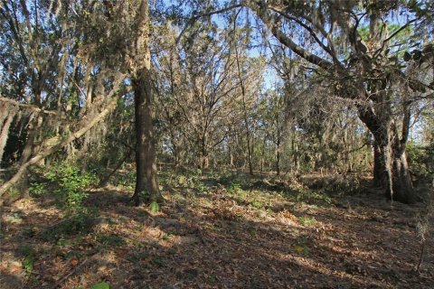 Terreno en venta en Bartow, Florida № 1418948 - foto 25