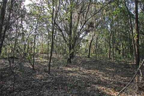 Terreno en venta en Bartow, Florida № 1418948 - foto 18