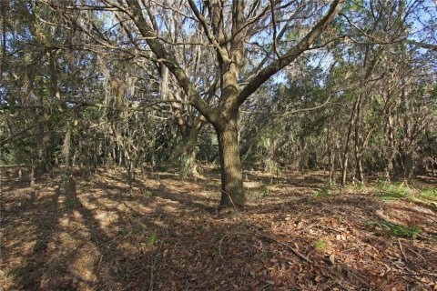 Terreno en venta en Bartow, Florida № 1418948 - foto 27