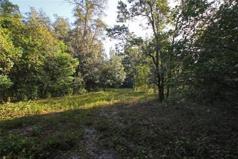 Terreno en venta en Bartow, Florida № 1418948 - foto 9