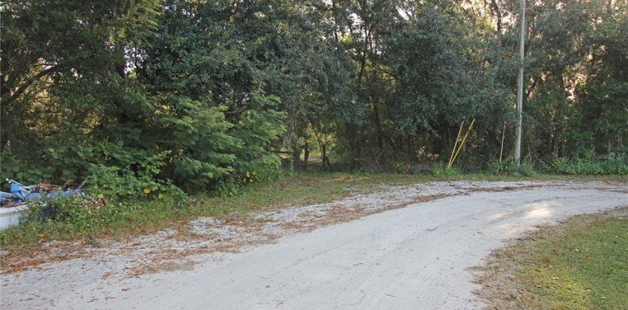 Terreno en Bartow, Florida № 1418948