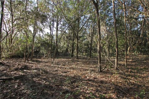 Terreno en venta en Bartow, Florida № 1418948 - foto 22