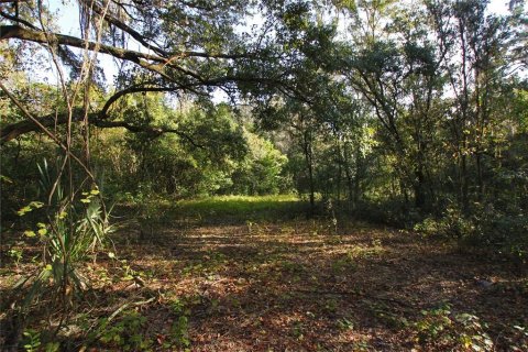 Terreno en venta en Bartow, Florida № 1418948 - foto 8
