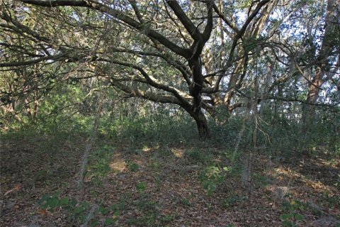 Terreno en venta en Bartow, Florida № 1418948 - foto 17