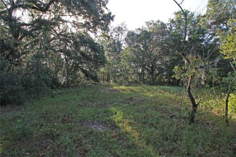 Terreno en venta en Bartow, Florida № 1418948 - foto 11