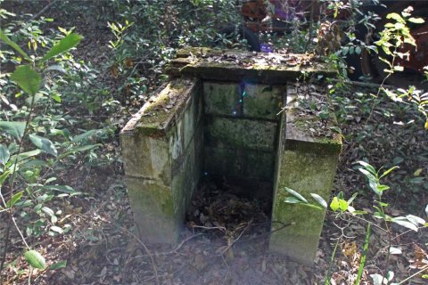 Terreno en venta en Bartow, Florida № 1418948 - foto 12