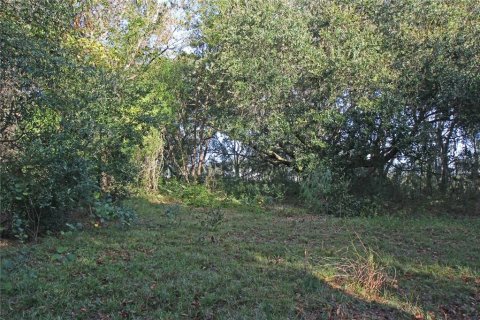Terreno en venta en Bartow, Florida № 1418948 - foto 15