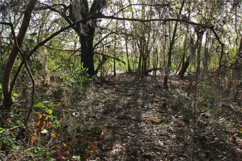 Terreno en venta en Bartow, Florida № 1418948 - foto 20