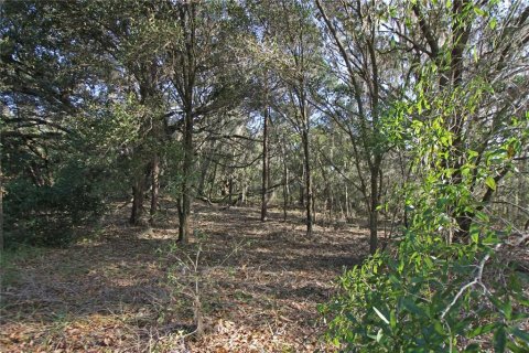 Terreno en venta en Bartow, Florida № 1418948 - foto 30