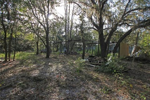 Terreno en venta en Bartow, Florida № 1418948 - foto 6
