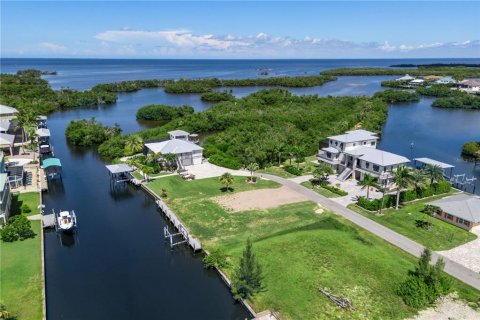 Land in Punta Gorda, Florida № 1918784 - photo 1