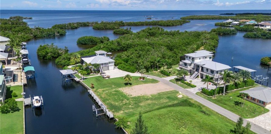 Land in Punta Gorda, Florida № 1918784