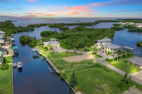 Land in Punta Gorda, Florida № 1918784 - photo 2