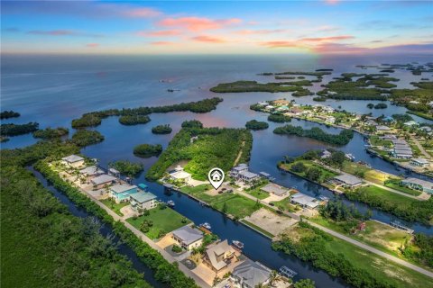 Land in Punta Gorda, Florida № 1918784 - photo 3