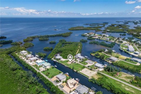 Land in Punta Gorda, Florida № 1918784 - photo 10