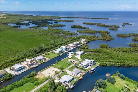 Land in Punta Gorda, Florida № 1918784 - photo 15