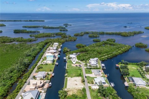 Land in Punta Gorda, Florida № 1918784 - photo 13