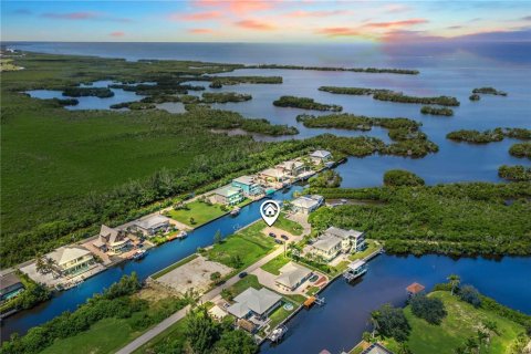 Land in Punta Gorda, Florida № 1918784 - photo 6