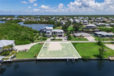 Land in Punta Gorda, Florida № 1918784 - photo 4