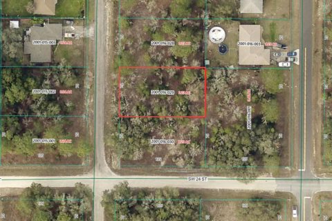 Land in Ocala, Florida № 2215139 - photo 2