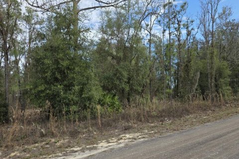 Land in Ocala, Florida № 2215139