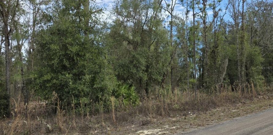 Land in Ocala, Florida № 2215139