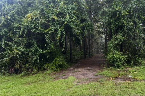 Land in Trenton, Florida № 2277021