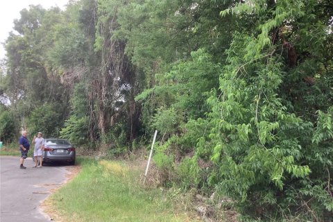 Land in Ocala, Florida № 2162351 - photo 3