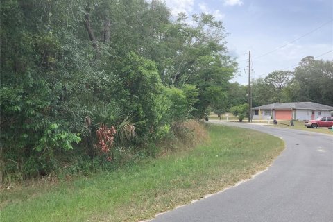 Land in Ocala, Florida № 2162351