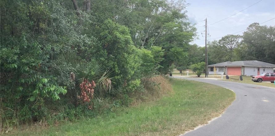 Land in Ocala, Florida № 2162351