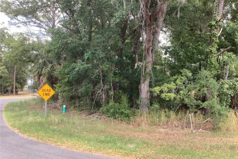 Land in Ocala, Florida № 2162351 - photo 5
