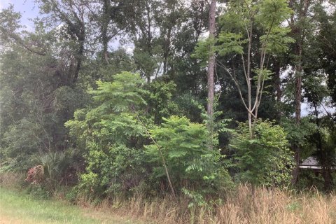 Land in Ocala, Florida № 2162351 - photo 4