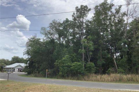 Land in Ocala, Florida № 2162351 - photo 2
