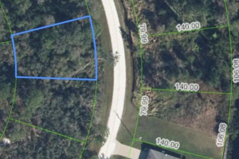 Terreno en venta en Lake Placid, Florida № 1223248 - foto 1