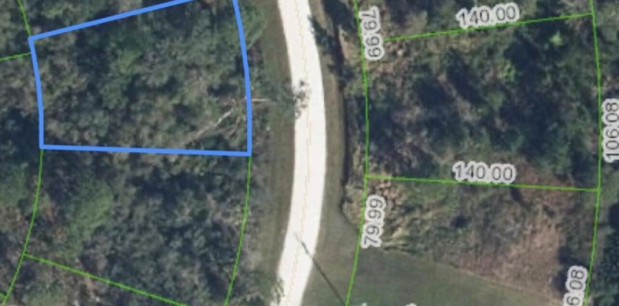 Terreno en Lake Placid, Florida № 1223248