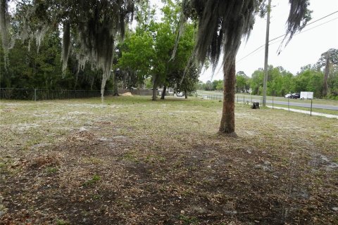 Immobilier commercial à vendre à Wildwood, Floride: 216.46 m2 № 1625829 - photo 9