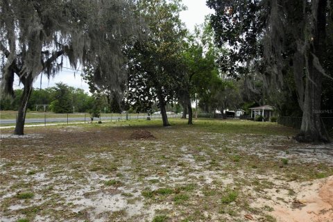 Immobilier commercial à vendre à Wildwood, Floride: 216.46 m2 № 1625829 - photo 17